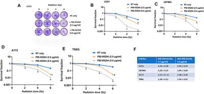 The Botanical Drug PBI-05204, a Supercritical CO2 Extract of Nerium Oleander, Is Synergistic With Radiotherapy in Models of Human Glioblastoma